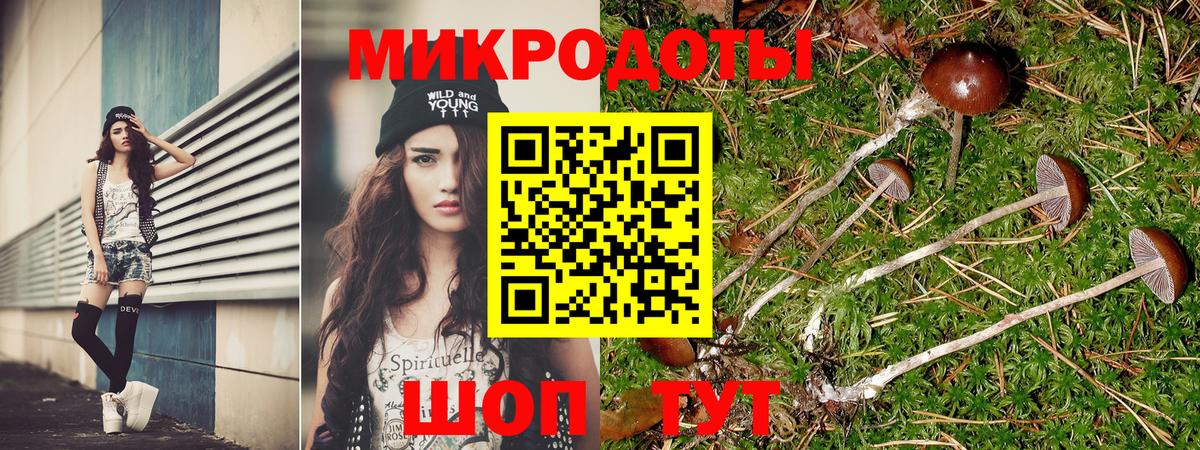 Галлюциногенные грибы MAGIC MUSHROOMS Кстово